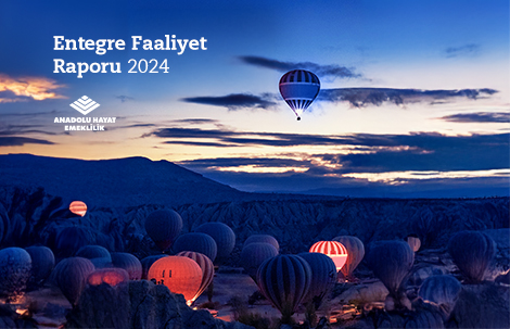 2024 Yılı Entegre Faaliyet Raporu afişi