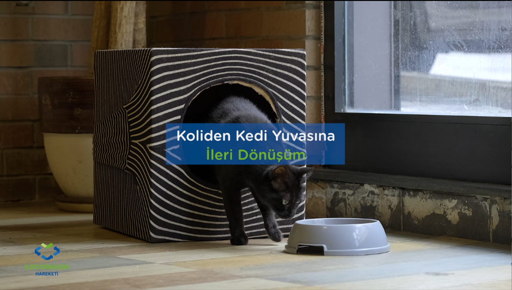 koliden_kedi_yuvasına4